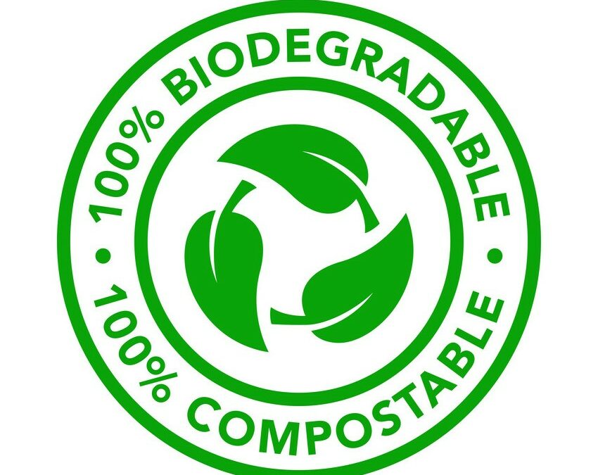 Verso il verde: braccialetti senza plastica – una scelta sostenibile