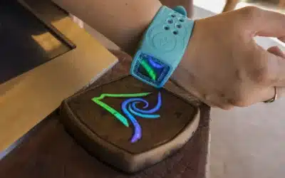 Vantaggi dei braccialetti con chip RFID per i tour operator