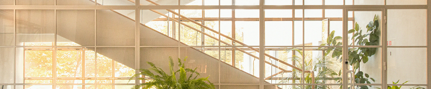 Braccialetti ospedalieri